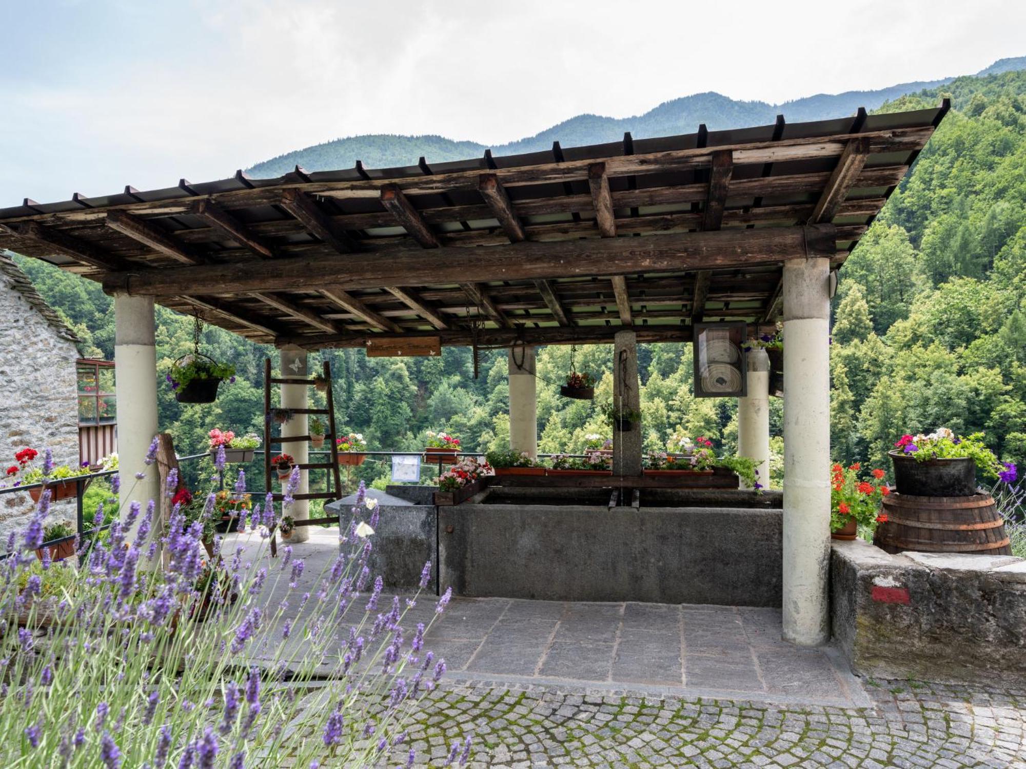 Chalet Il Gianlupo By Interhome Bognanco Exterior photo